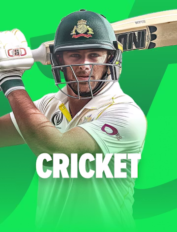 Cricket betting icon